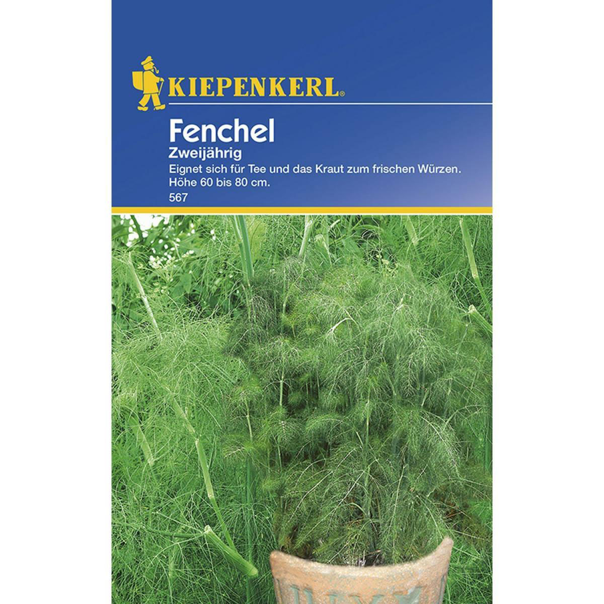 Kiepenkerl Fruchtfenchel Bild 1