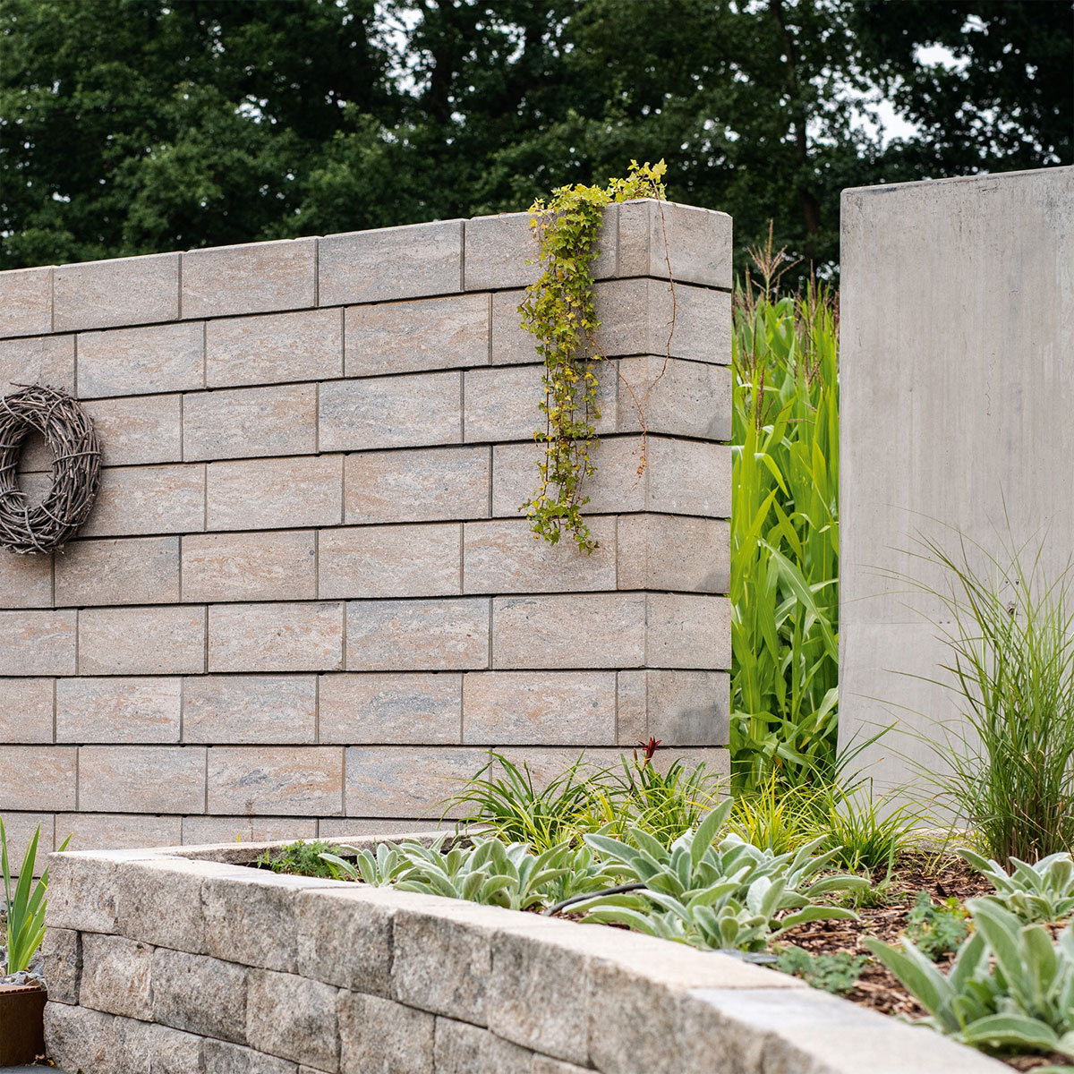 Diephaus  Mauerstein Moderna Muschelkalk 50 x 40 x 20 cm Bild 2