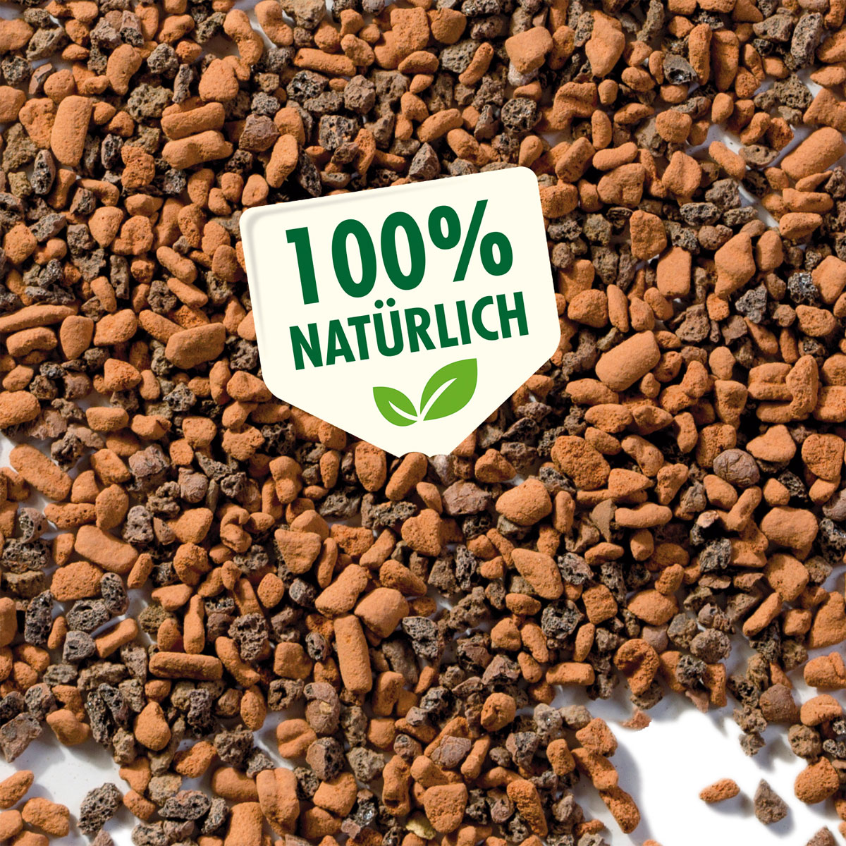 SERAMIS Substrat Kakteen/ Sukkulenten 2,5 L Bild 2