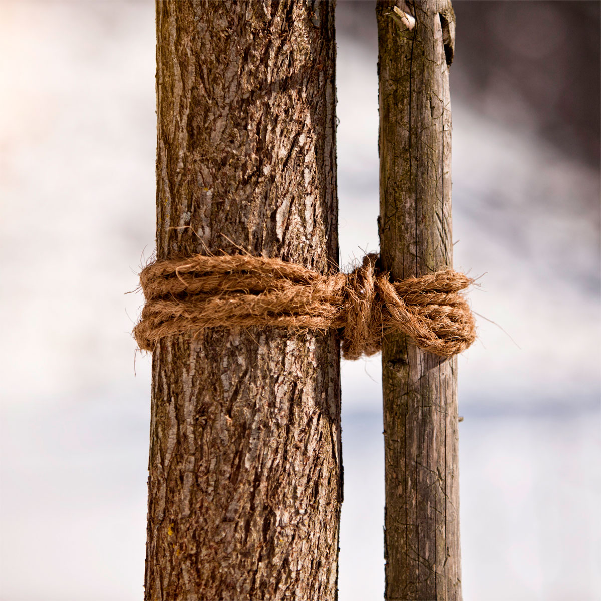 Windhager Kokosgarn, 15 m