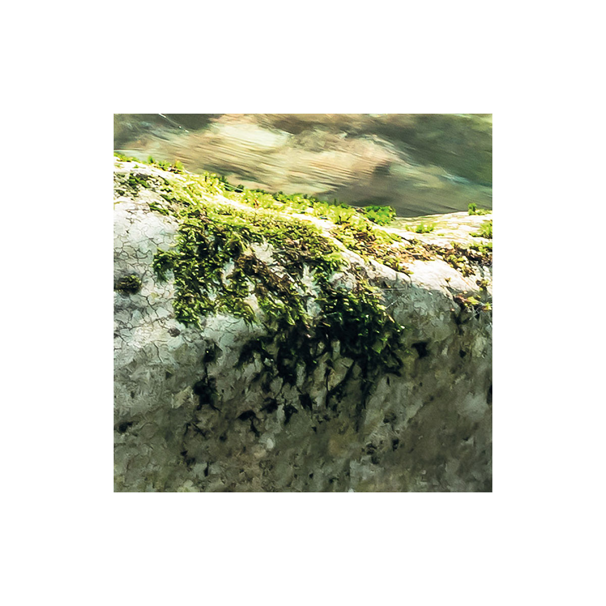 Komar  Vlies Fototapete Tranquil Pool 400x250 cm Bild 7