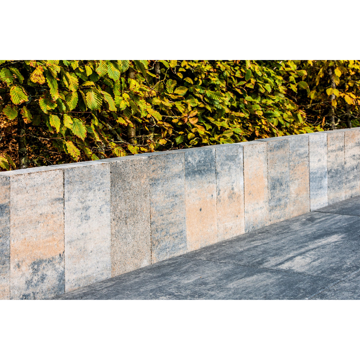 Diephaus  Top Palisade Muschelkalk 30 x 15 x 4 cm Bild 2