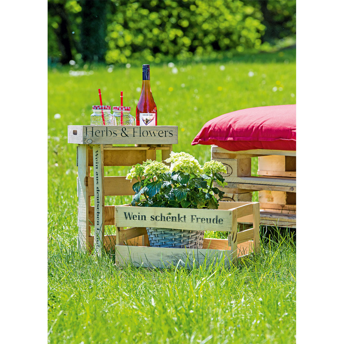 Obstkiste gebraucht 50 x 40 x 30 cm Bild 5