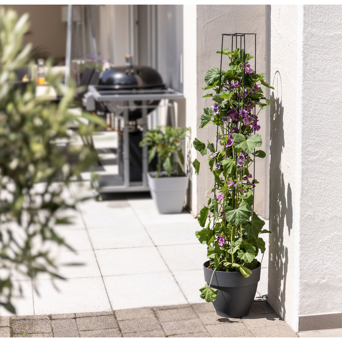 Windhager  Ranksäule 2-teilig 175 cm