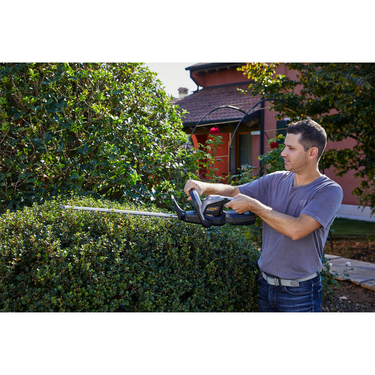 Alpina-Garden Akku-Heckenschere-Set AHT 20 Li 20V 3-teilig Bild 5