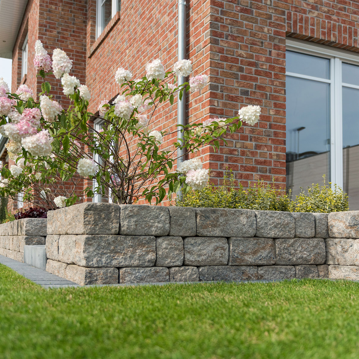 Diephaus  Mauerstein Cup-Mini Muschelk. 25 x 16,5 x 15 cm Bild 2