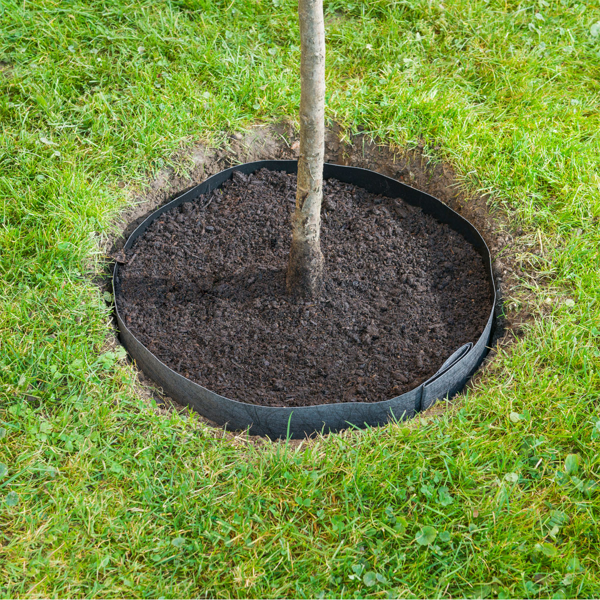 Windhager  Wurzelsperrvlies 3,5x0,65 m Bild 2