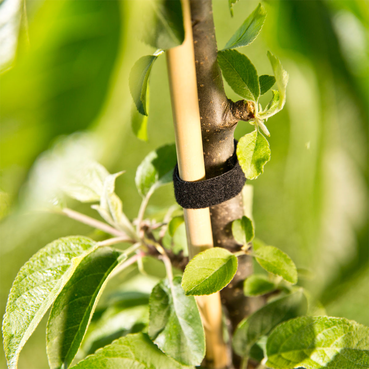 Windhager Universal-Klettverbinder 12 mmx5m