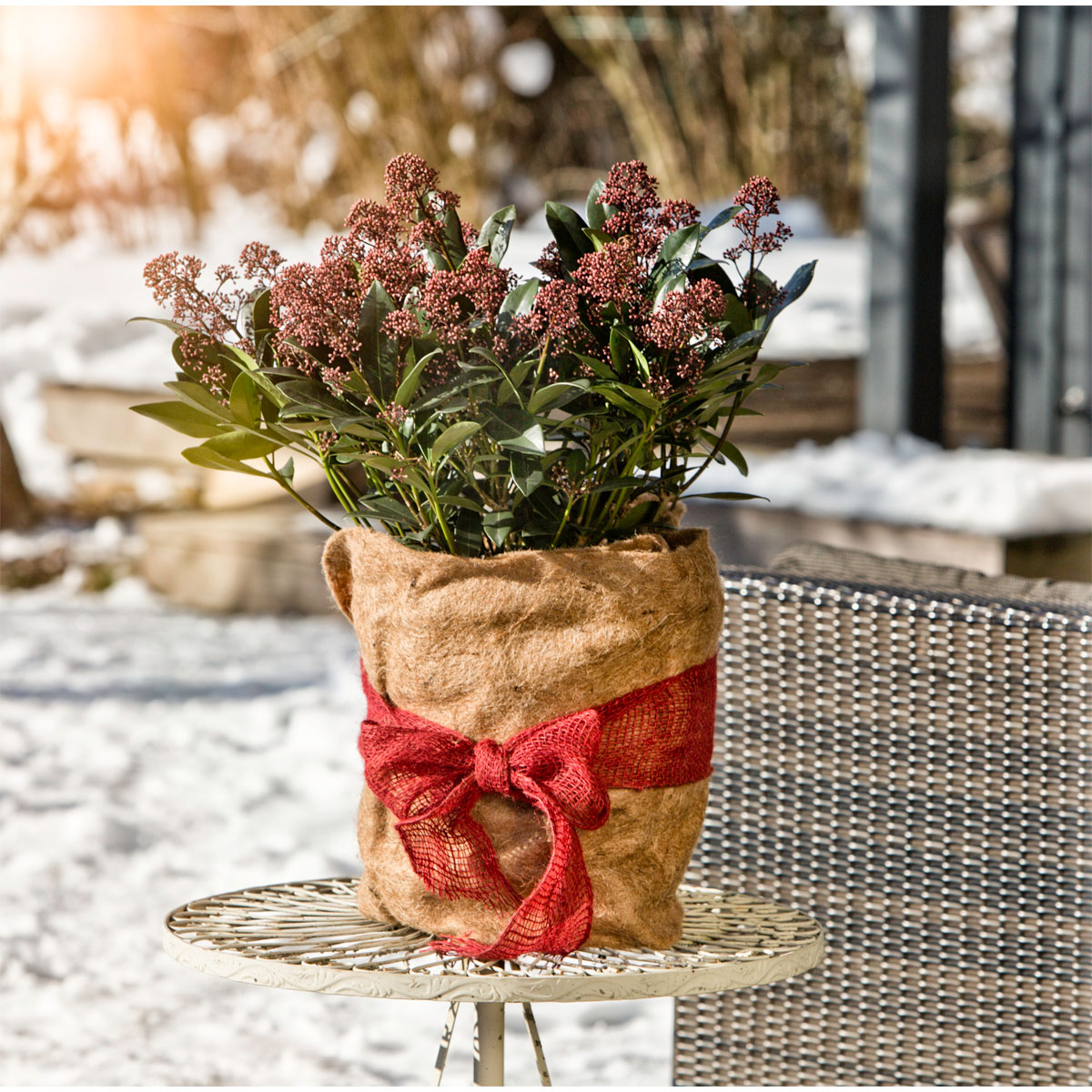 Winterschutz-Vliesmatte 150 x 38 cm