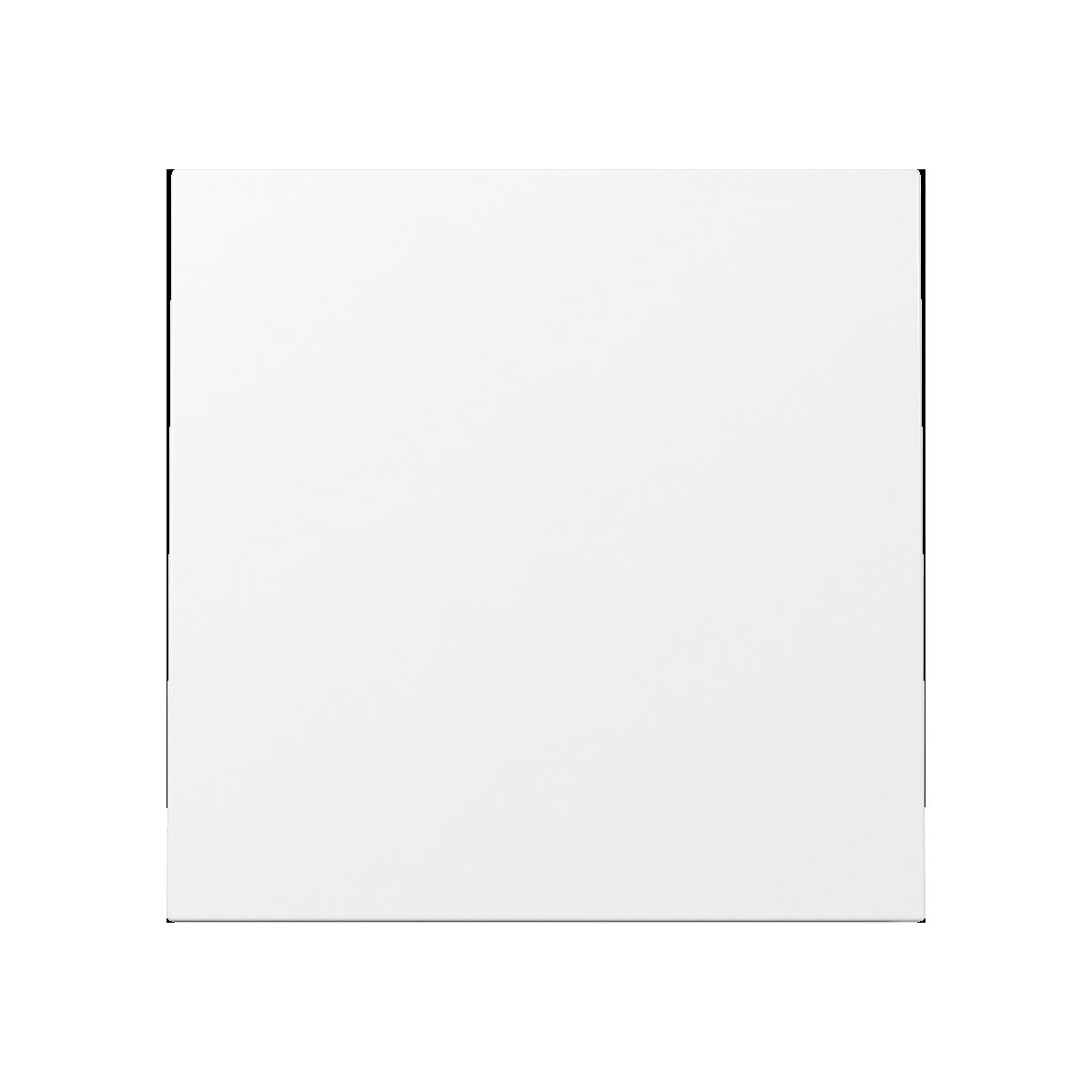 Gira Wippe Flächenschalter Reinweiß