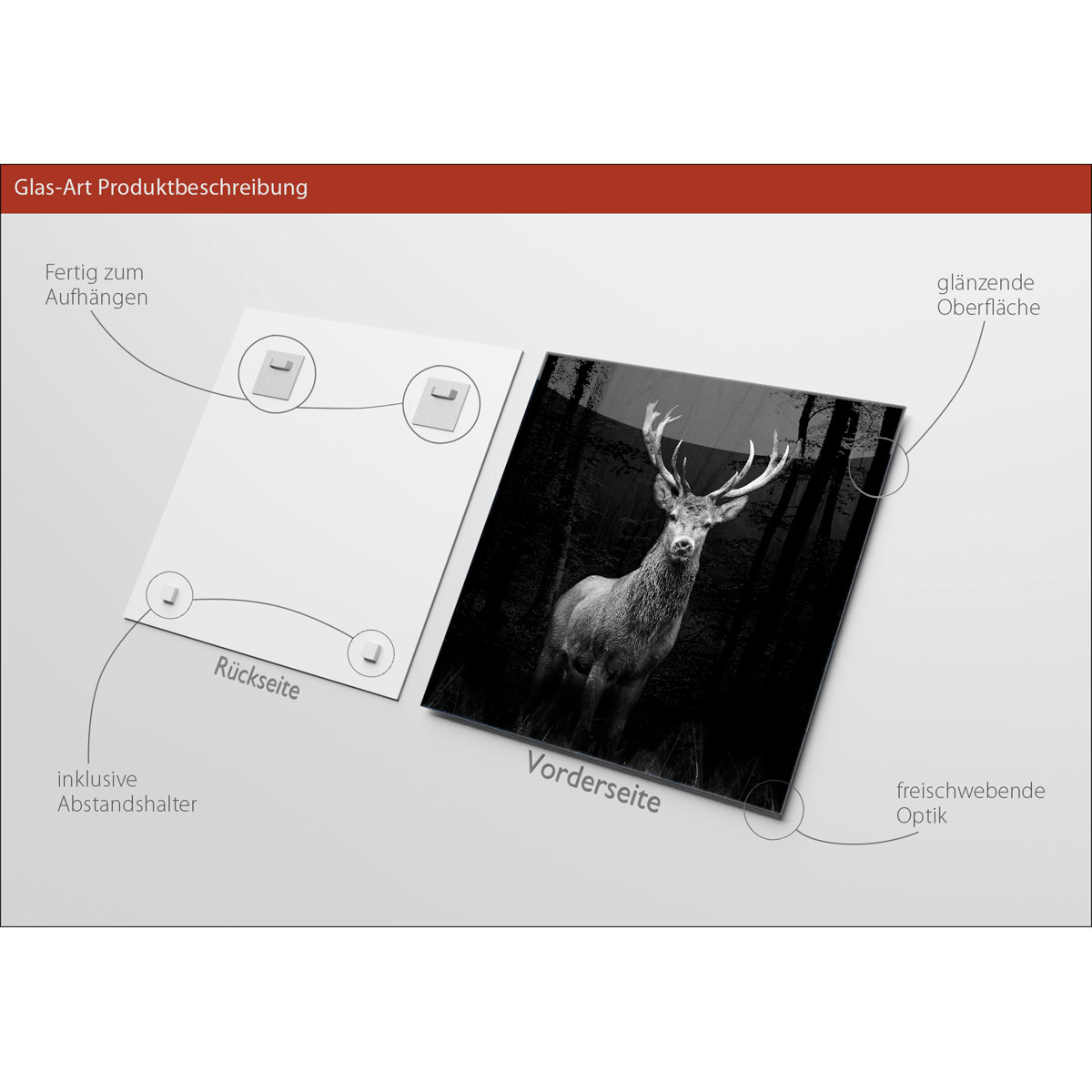 Glas-Art Grey Deer Head 50 x 50 Glasbild Bild 3