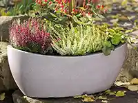 Ein weißer Pflanzkübel enthält bunte Pflanzen und steht im Freien.