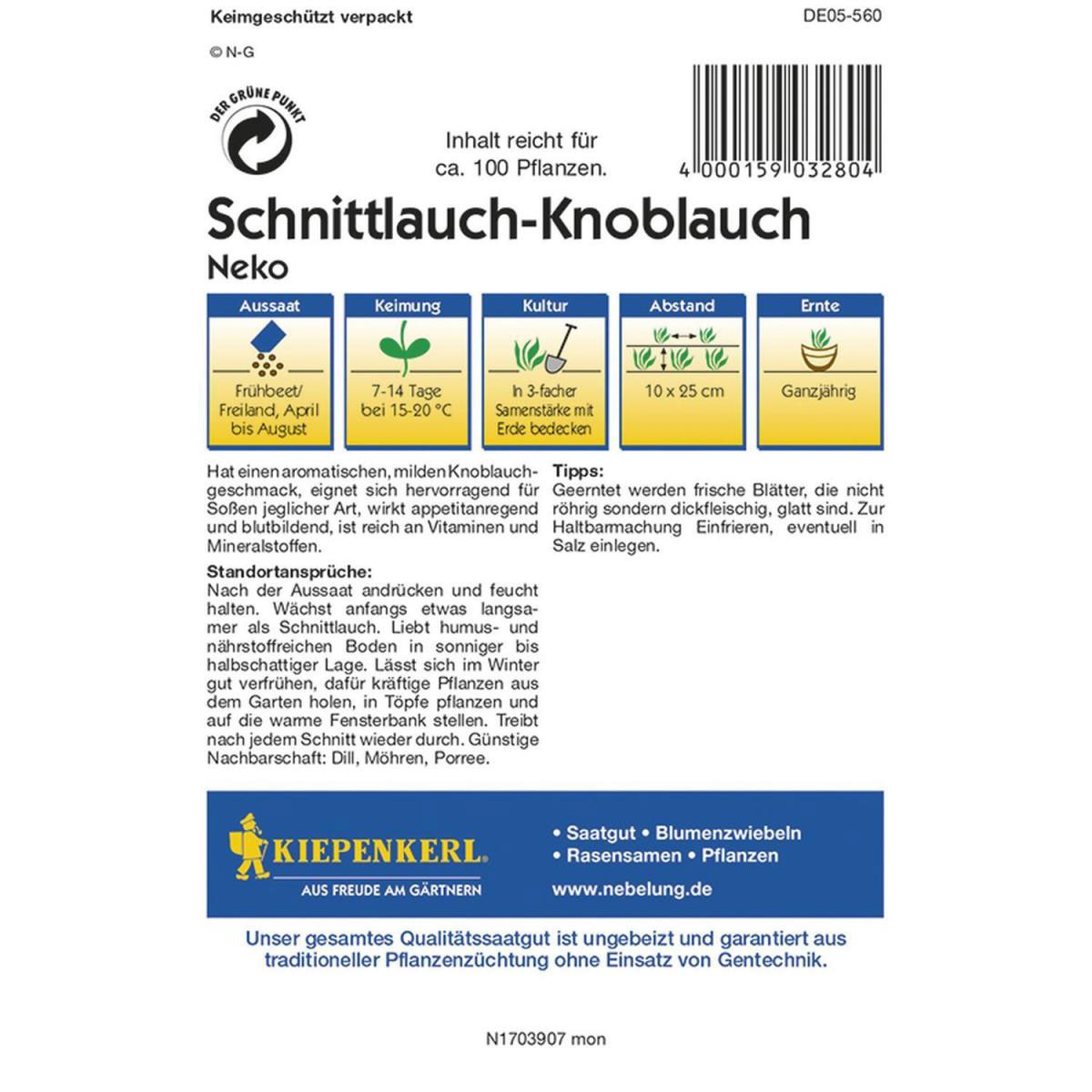 Kiepenkerl Schnittknoblauch Neko ein-und mehrjähr Profi-Line Bild 2