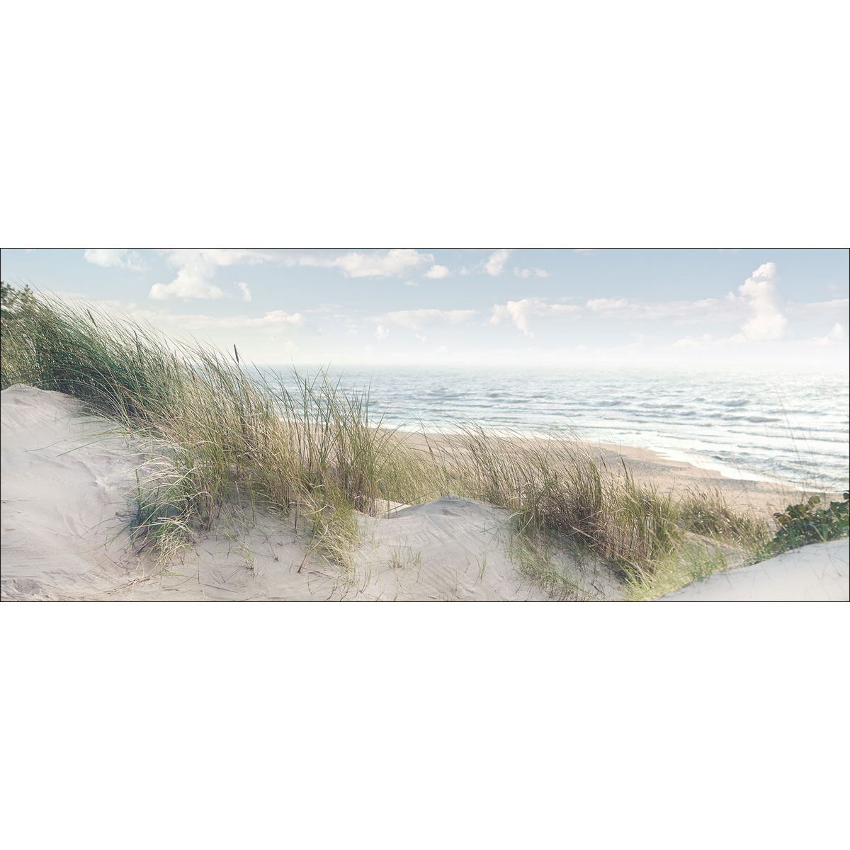 Decopanel, Baltic Sea Coast, 50x120 cm
