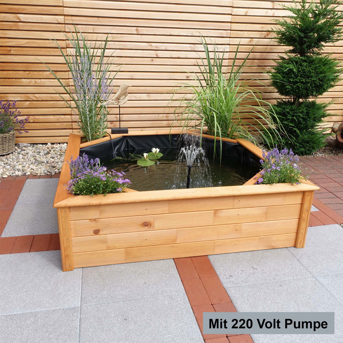 Promadino Hochteich 4 seitliche Pflanzzonen Bild 4