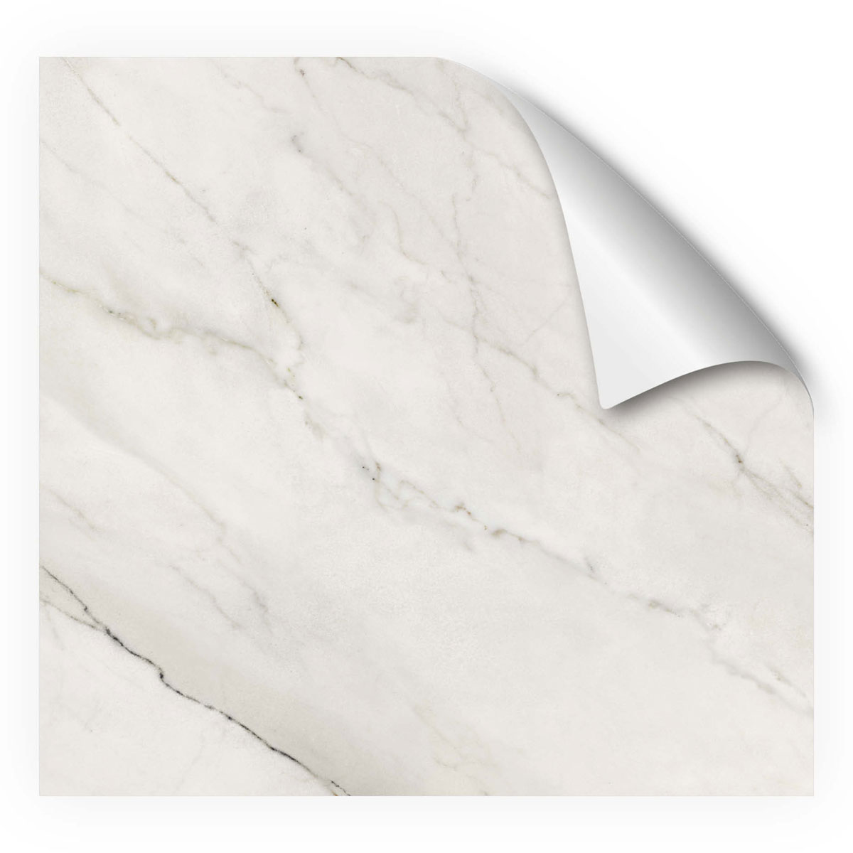 MySpotti Fresh DuschrückwandfolieKylie Bild 2