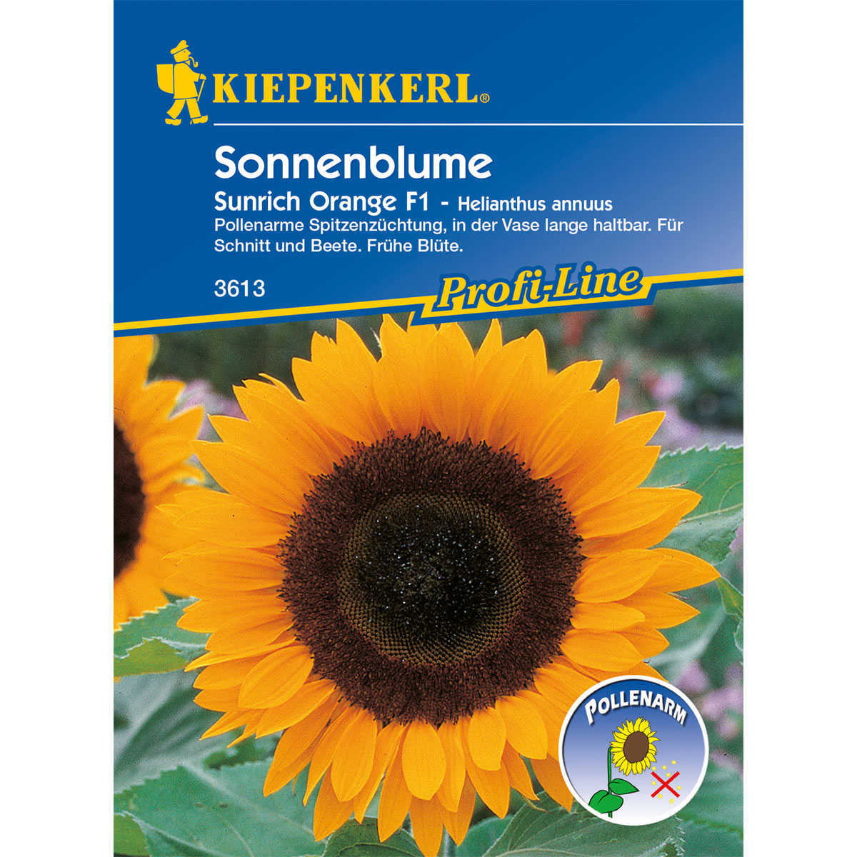 Kiepenkerl Sonnenblume Sunrich Orange