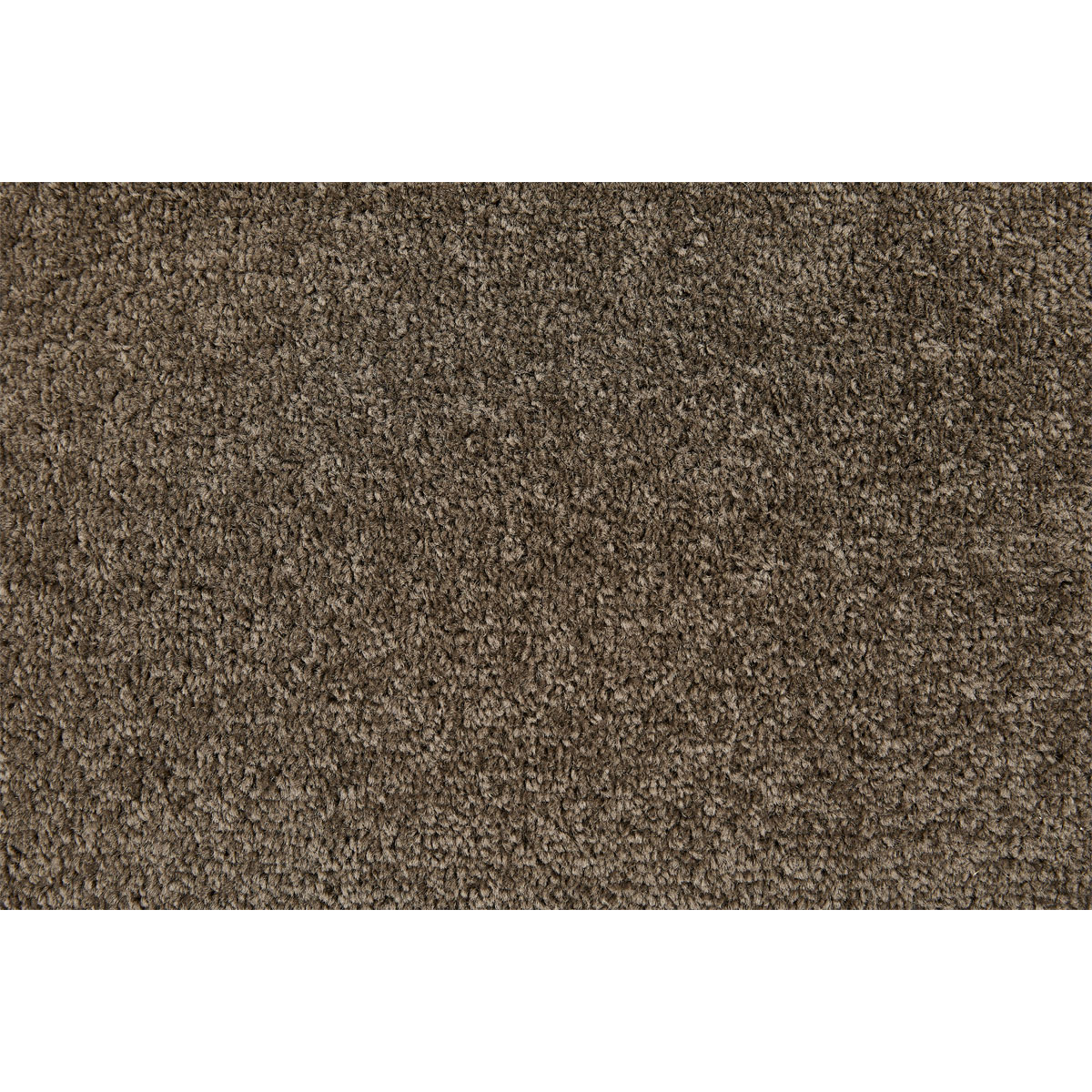 Teppichboden Kathy 4m schlamm FB 73