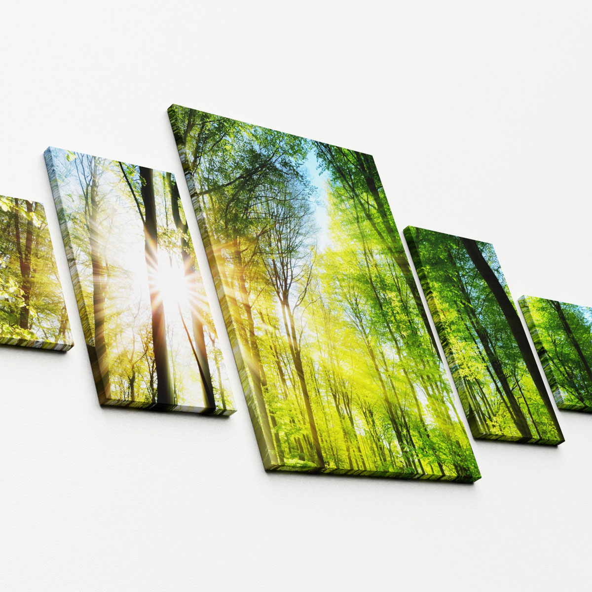 Canvas-Art „SET Wald“, 5-Teile