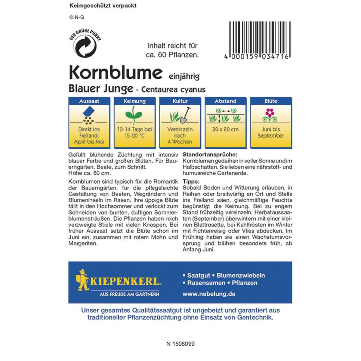 Kiepenkerl Kornblume Blauer Junge Profi-Line Bild 2