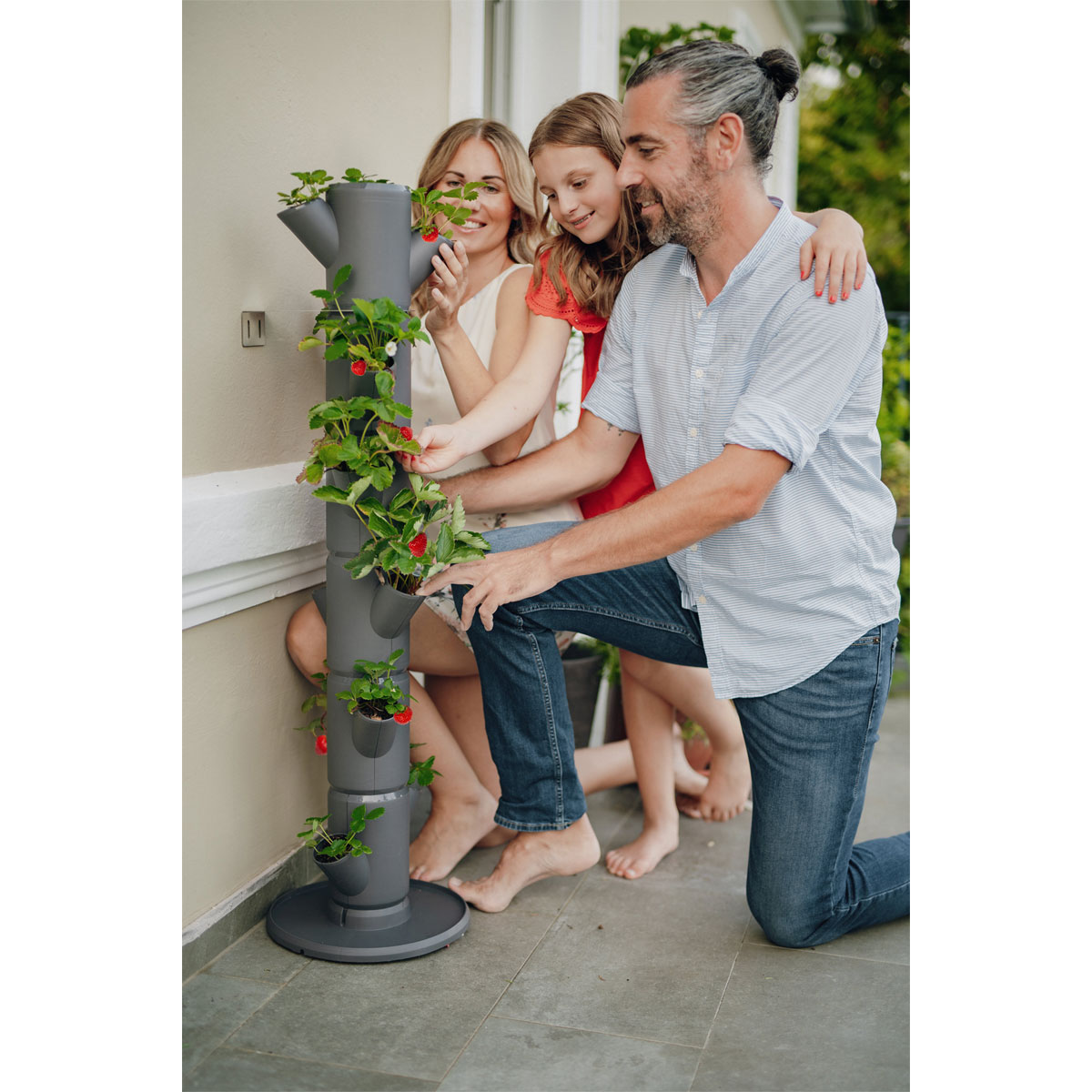 Erdbeerturm Sissi Strawberry Classic anthr. Bild 1