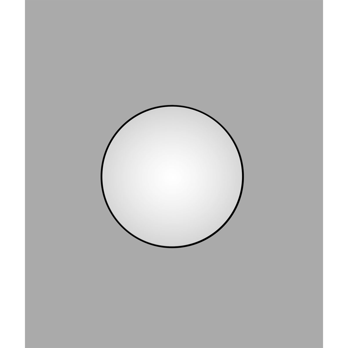 DSK  Design Spiegel Silver Globo Black Dm 100 cm Bild 1