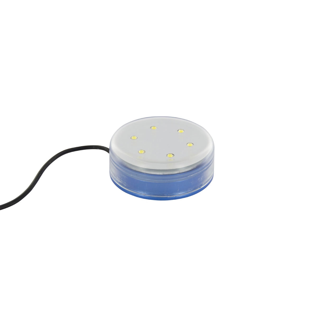 LED-Poollicht Bild 2