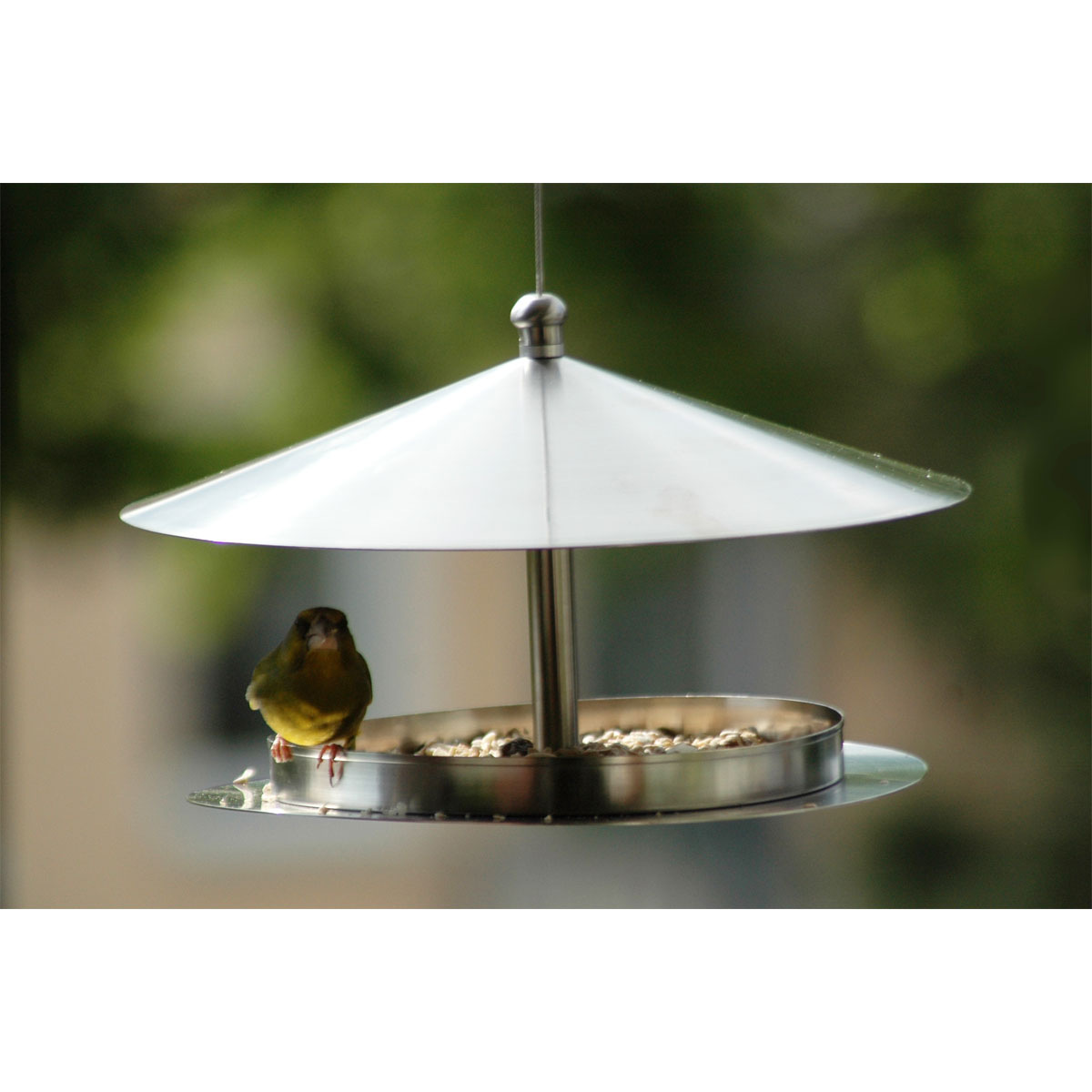 Design-VogelfutterhausSilberglanz zum Aufhängen 29 x 29 x 19,5 cm Edelstahl Silber Bild 2