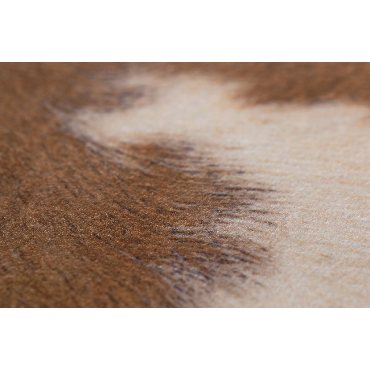 andiamo  Teppich Amarillo 125 x 155 cm Bild 3