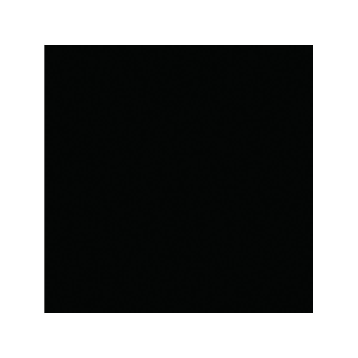 Vincent 2in1 Buntlack Tiefschwarz seidenmatt 375 ml Bild 2