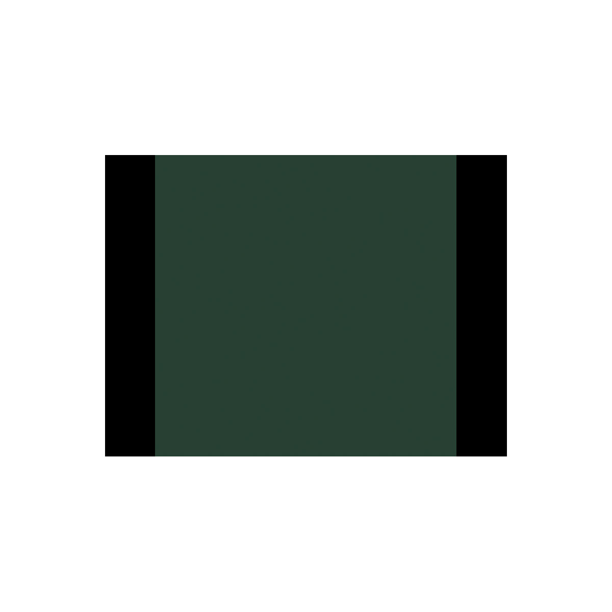 Vincent Voll- und Abtönfarbe grün 0,5 L Bild 2