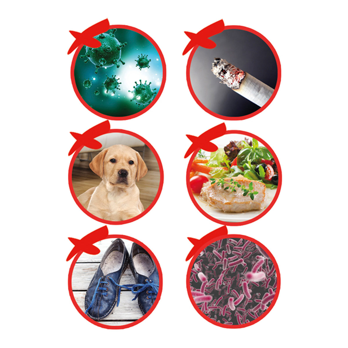 Best Direct Ionen-Luftreiniger „PURIPOD®“  Bild 8