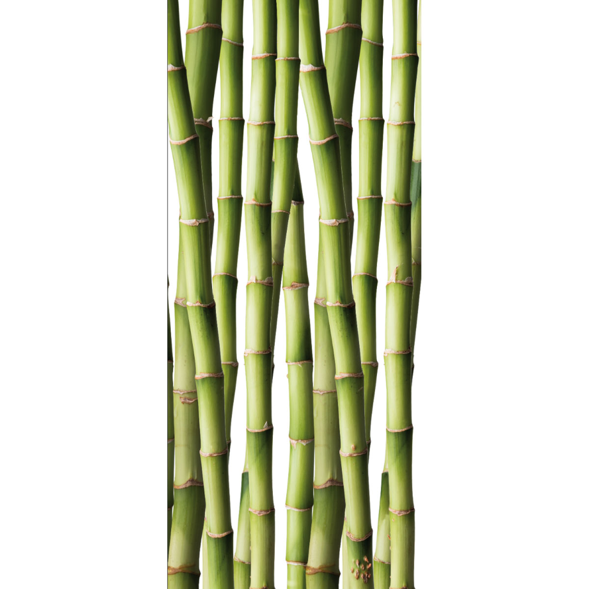 Duschrückwand, 90x210 cm, Motiv Bambus