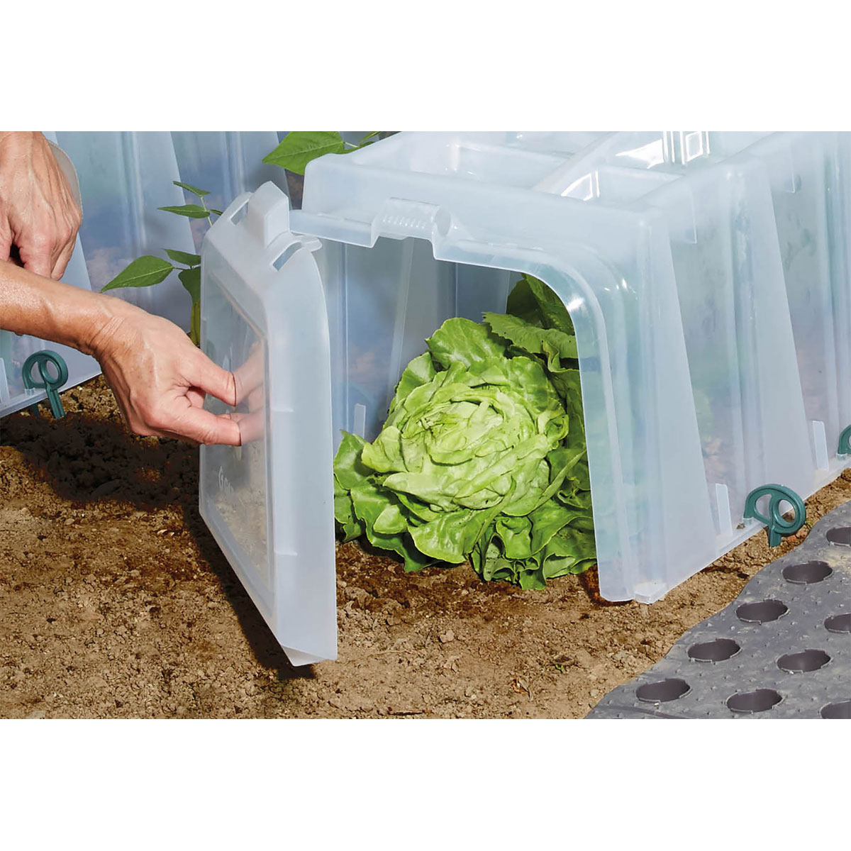 Garantia  Pflanztunnel Sunny 3er-Komplettset inkl. Endkappen und Bodenanker Bild 4