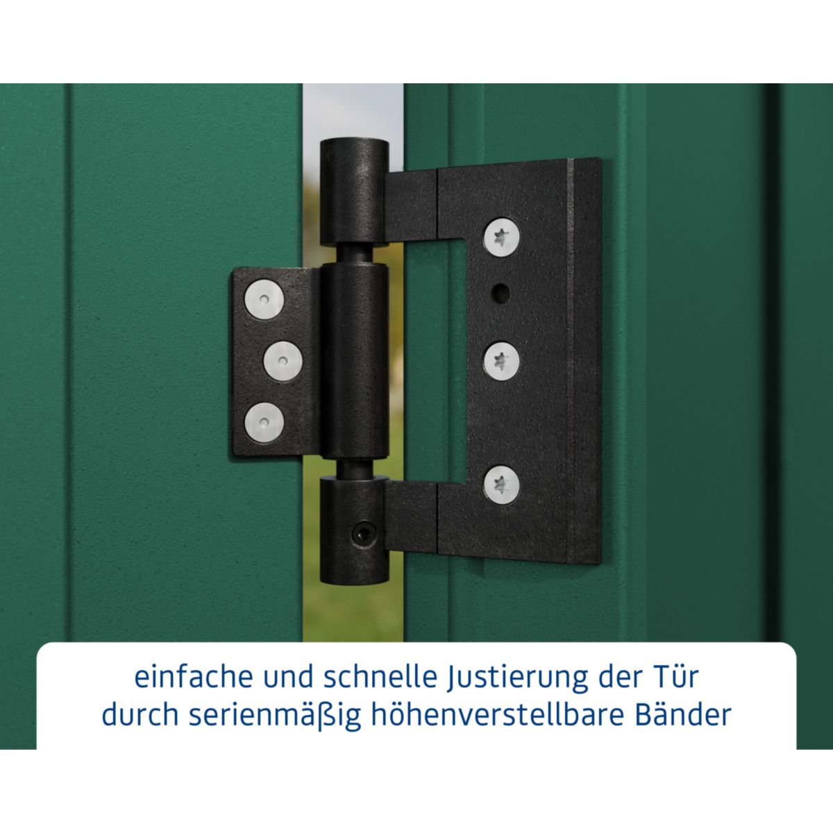 EcoStar  Gerätehaus Trend-PTyp 2RAL6005 2 flg Bild 5