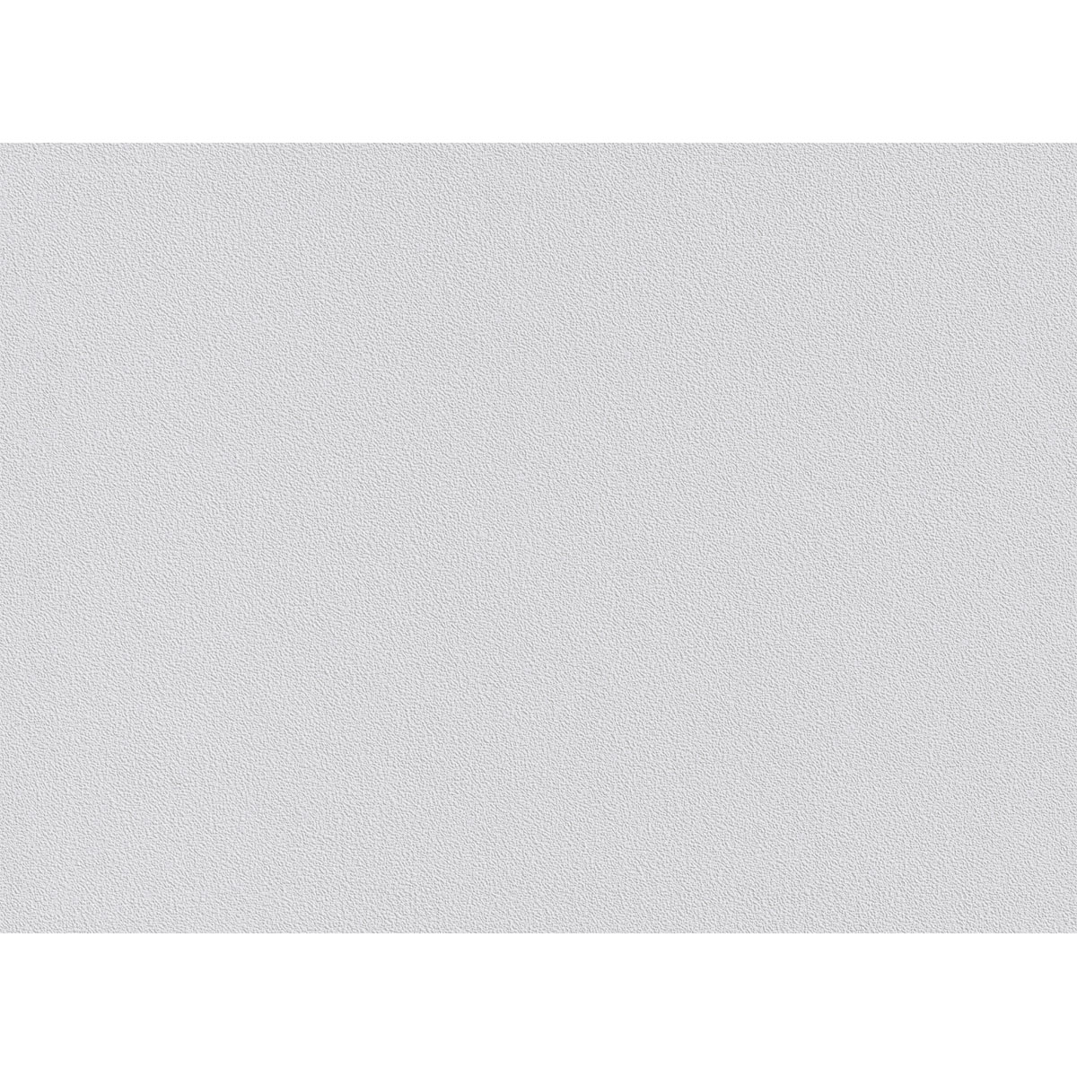 Erfurt  Vliesfaser Protect 203 weiß 1005 x 53 cm Bild 2