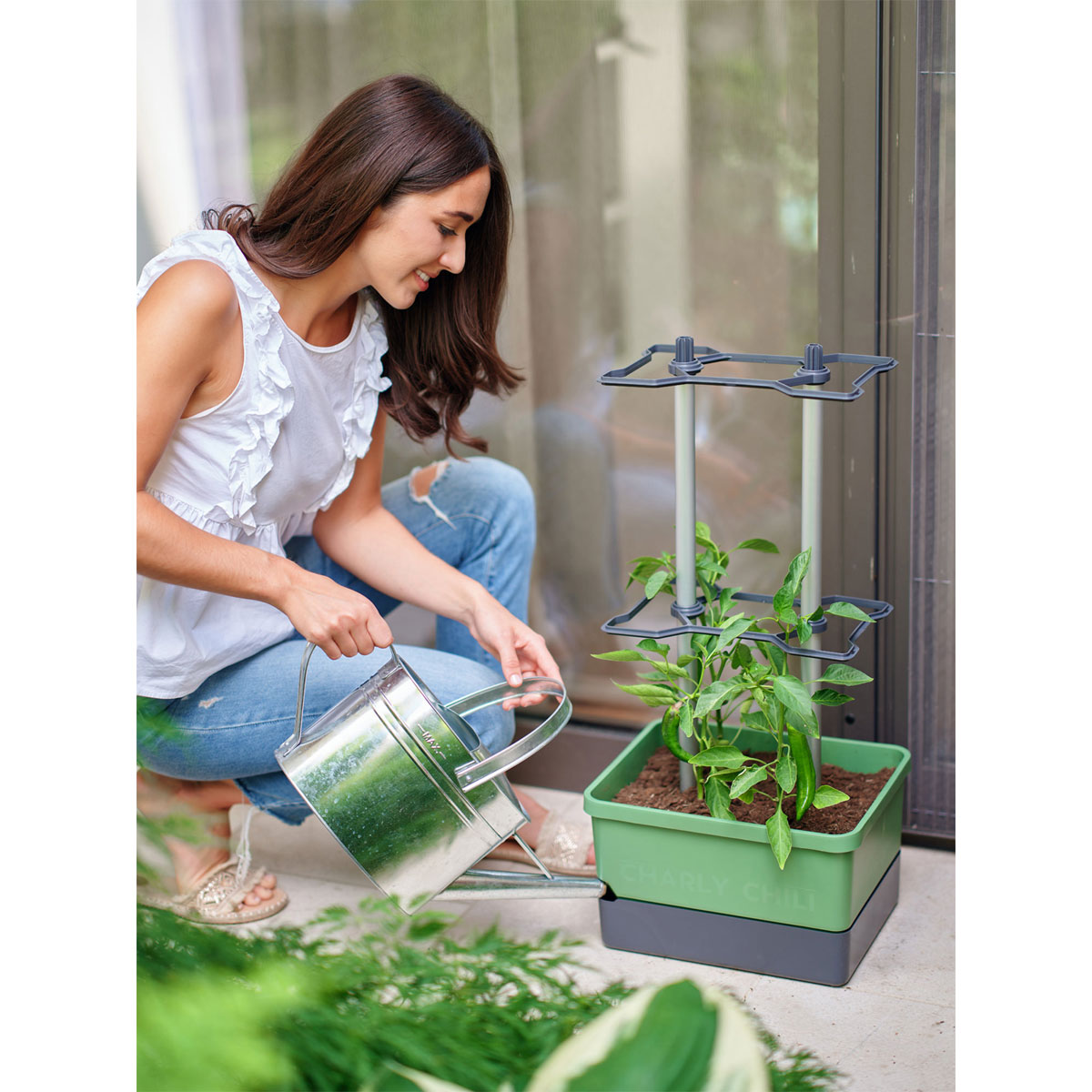 Rankhilfe Charly Chily dunkelgruen Bild 1