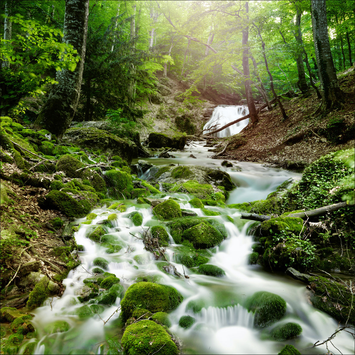 Kunstleinwand AN556N5 40 x 40