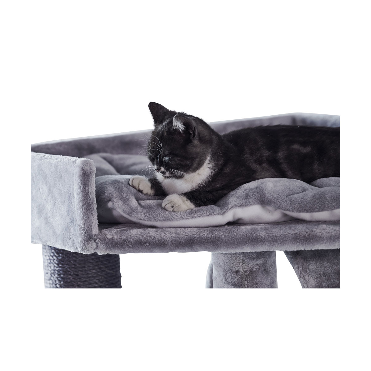 Nobby Kratzbaum ADILE grau 60 x 60 cm Bild 2