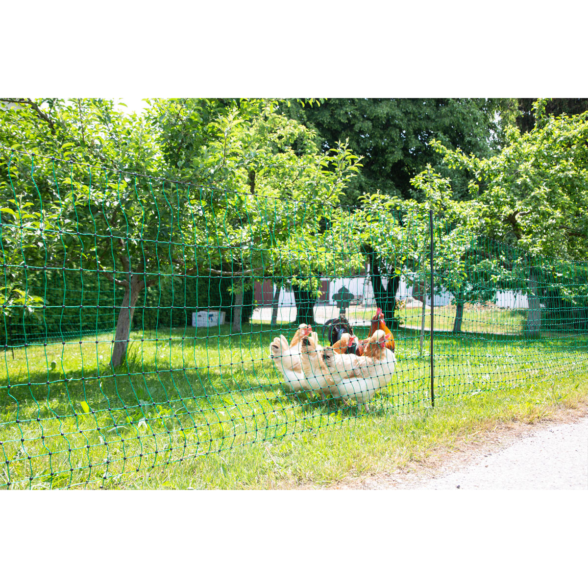 Geflügelnetz PoultryNet Doppelspitze 5000 x 106 cm dunkelgrün Bild 3