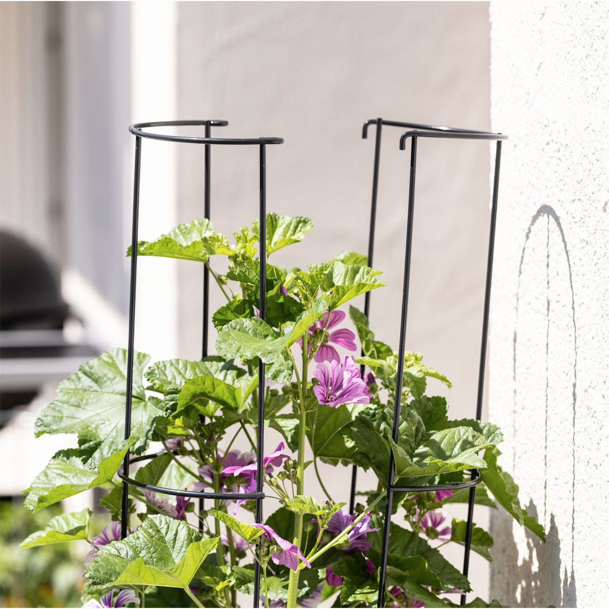 Windhager  Ranksäule 2-teilig 175 cm Bild 3