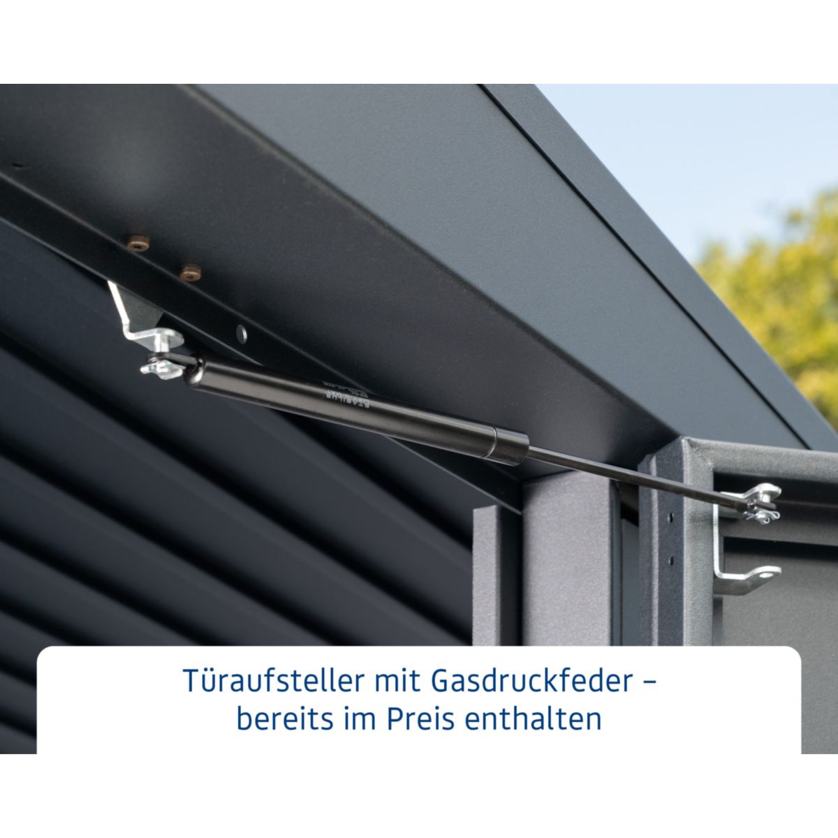 EcoStar  Gerätehaus Trend-PTyp 1RAL6005 1 flg Bild 6