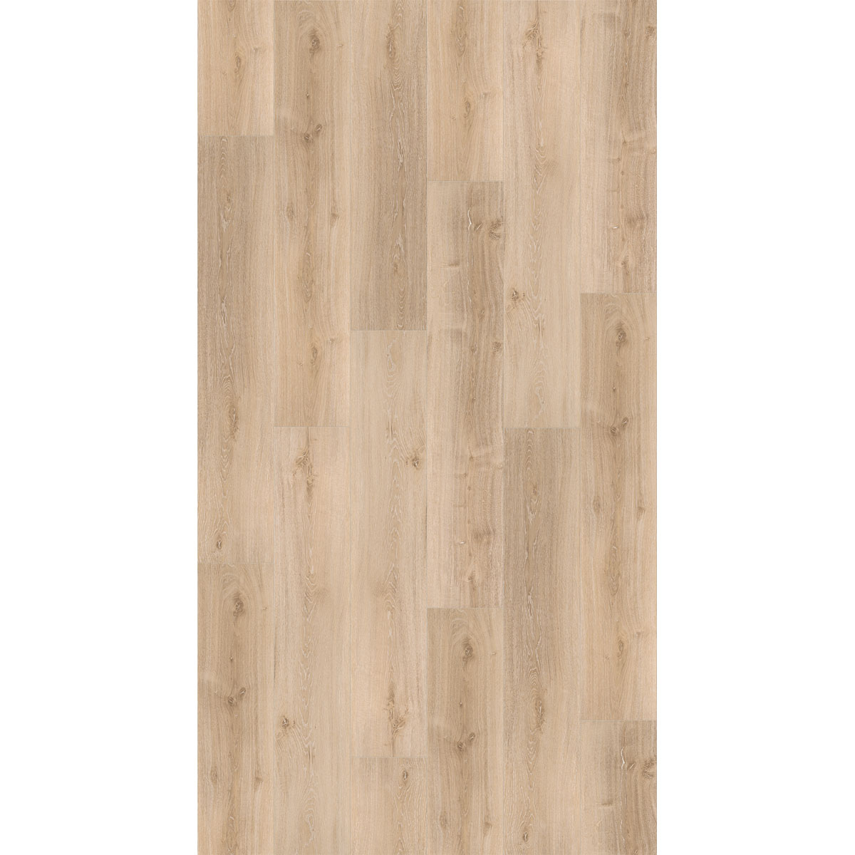 Vinylboden „Basic 30“, Eiche Royal hell gekälkt, Holzstruktur, 21,6x120,7 cm