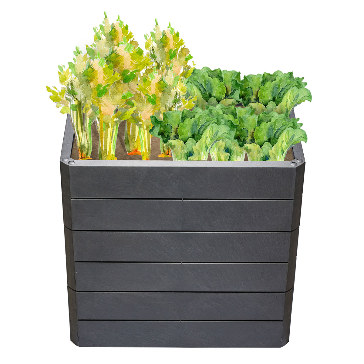 Garantia Hochbeet ERGO QUADRO M 75 Stone inkl FLORA