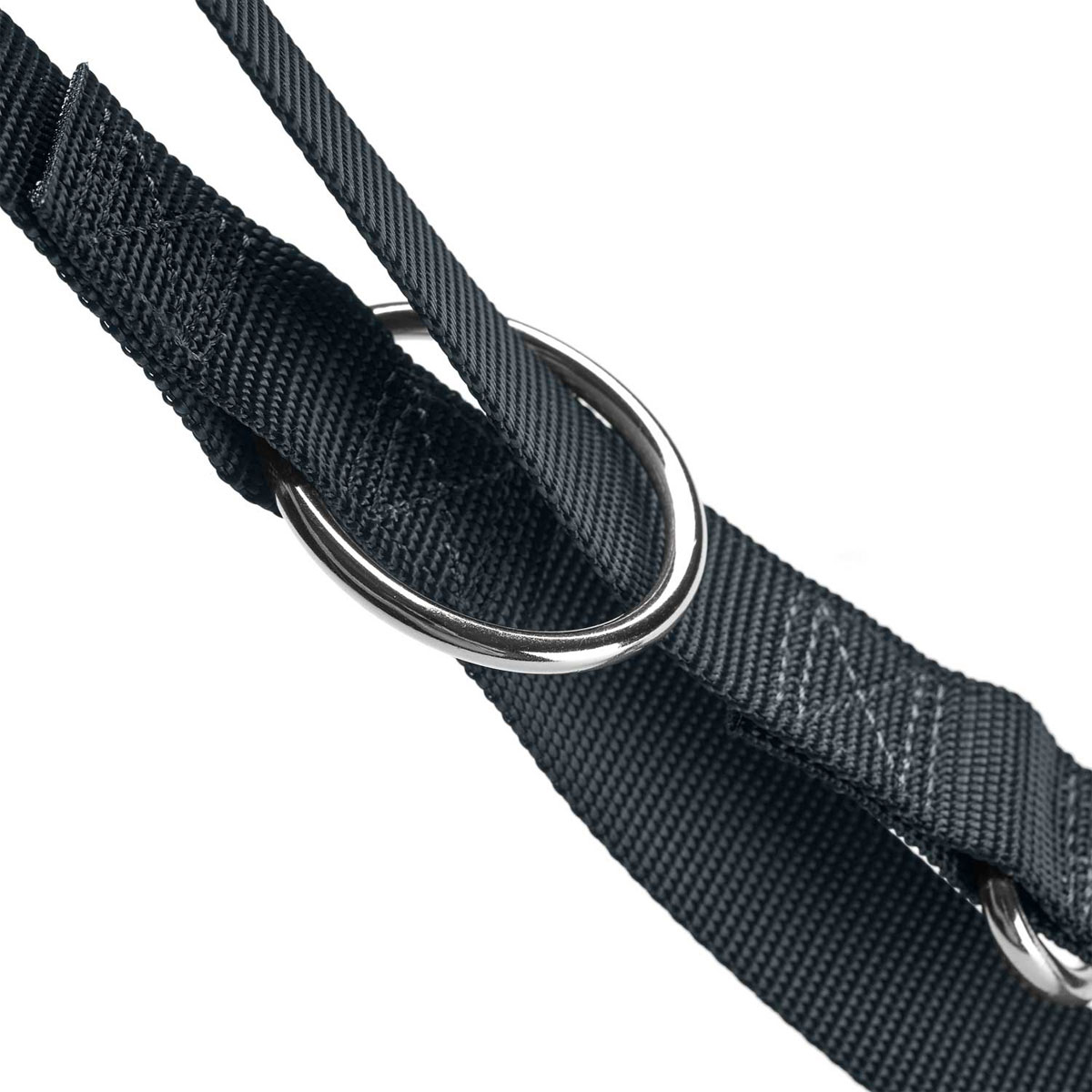 Hunter Führleine London anthrazit 200 x 2,5 cm Bild 3