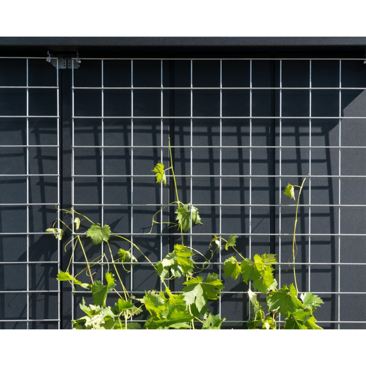 EcoStar  Rankgitter Größe 2 Bild 2