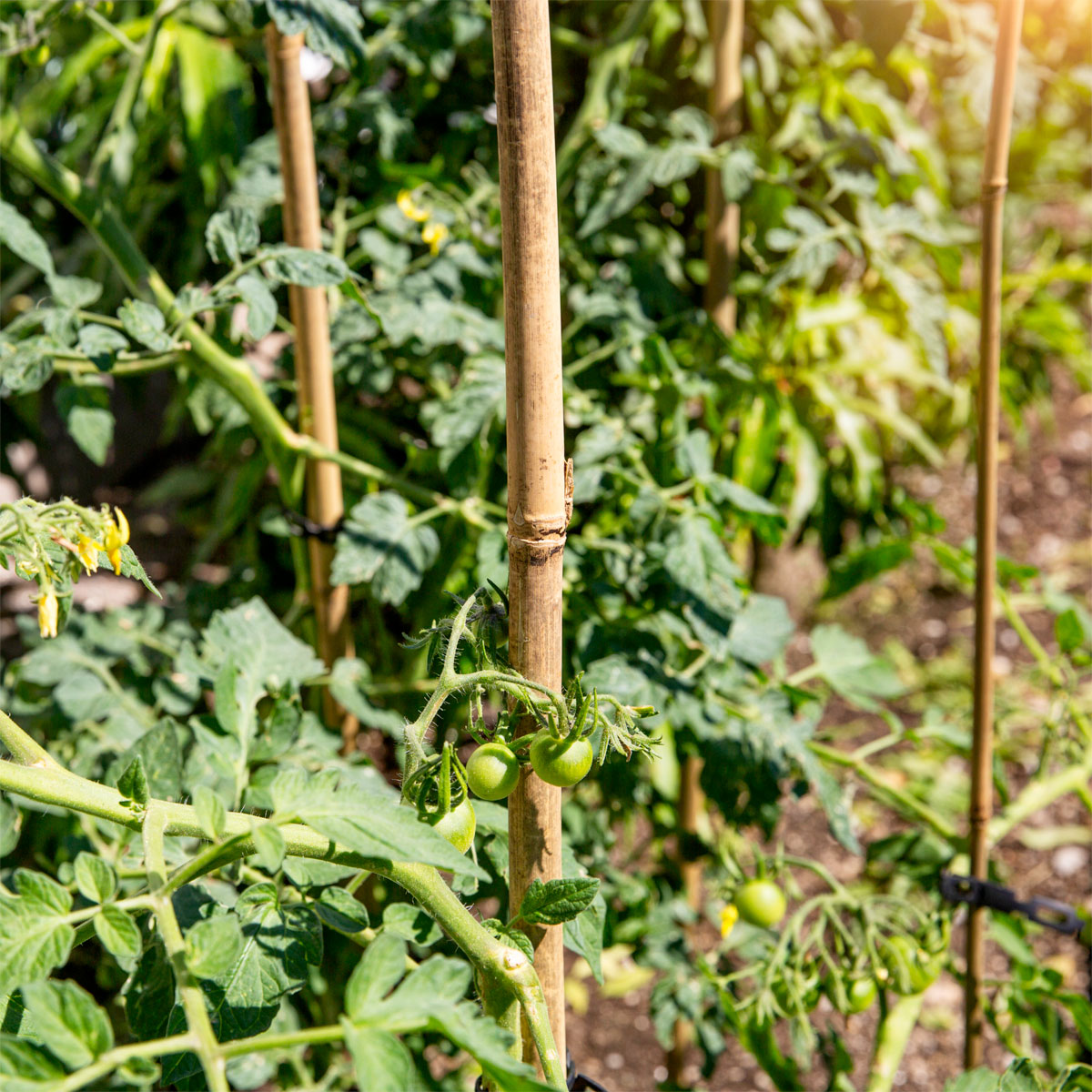 Windhager  Tonkinstäbe 90 cm Bild 1