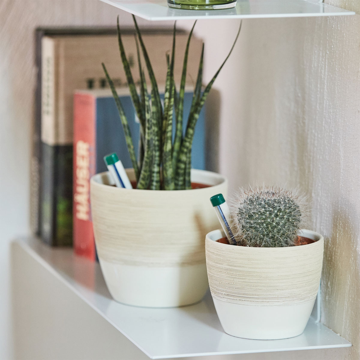 SERAMIS Substrat Kakteen/ Sukkulenten 2,5 L Bild 6