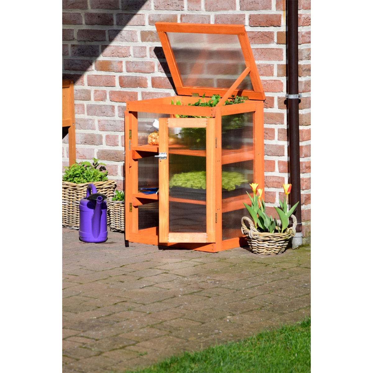 dobar Mini-Gewächshaus 58 x 76 x 43 cm braun Bild 4