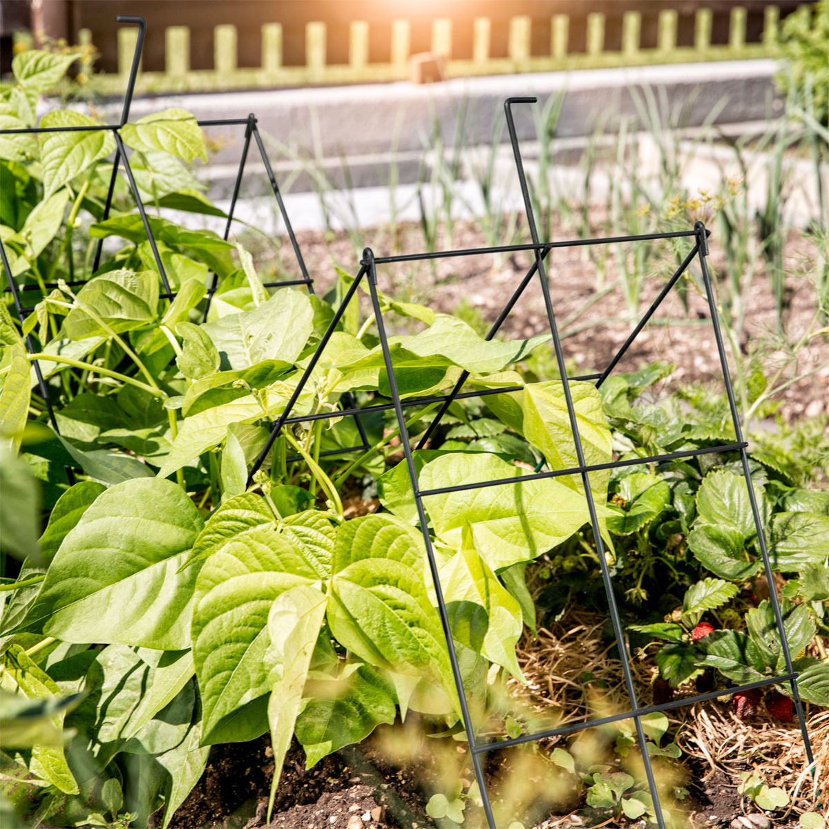 Windhager  Rankgitter klappbar 30x100 cm Bild 3